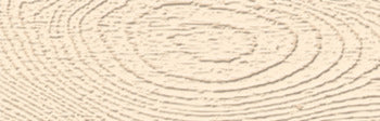 FAMOWOOD LATEX WOOD FILLER, NATURAL PIN
