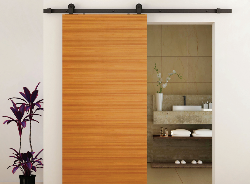 BARN DOOR KIT FLAT R/TOP MNT 6.5FT SS