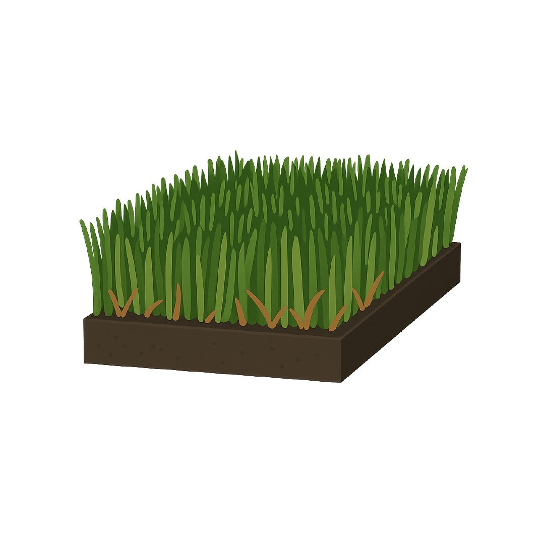 Top Group Classic artificial grass