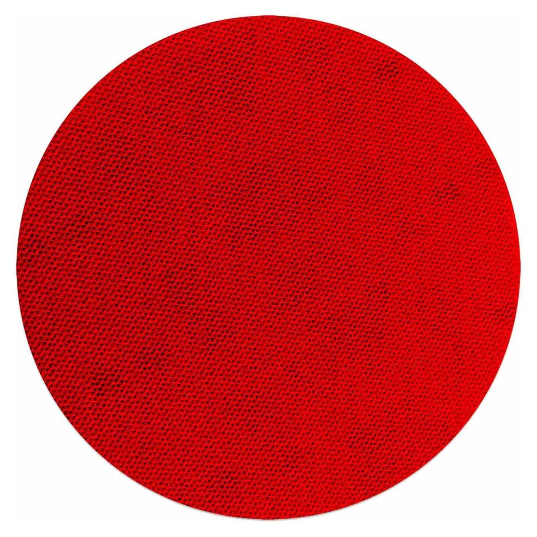 Sand Demon(TM) 5" Reusable Sanding Discs