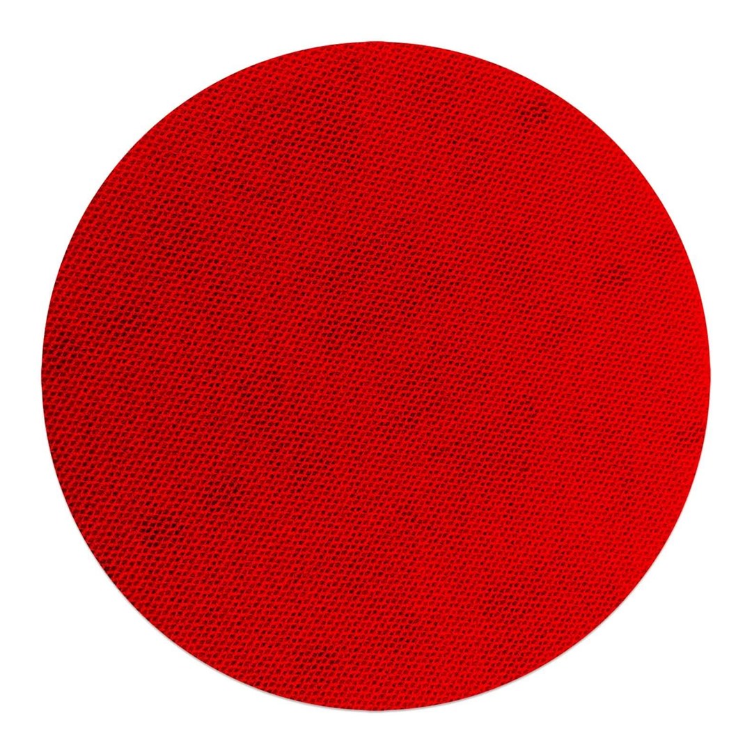 Sand Demon(TM) 5" Reusable Sanding Discs