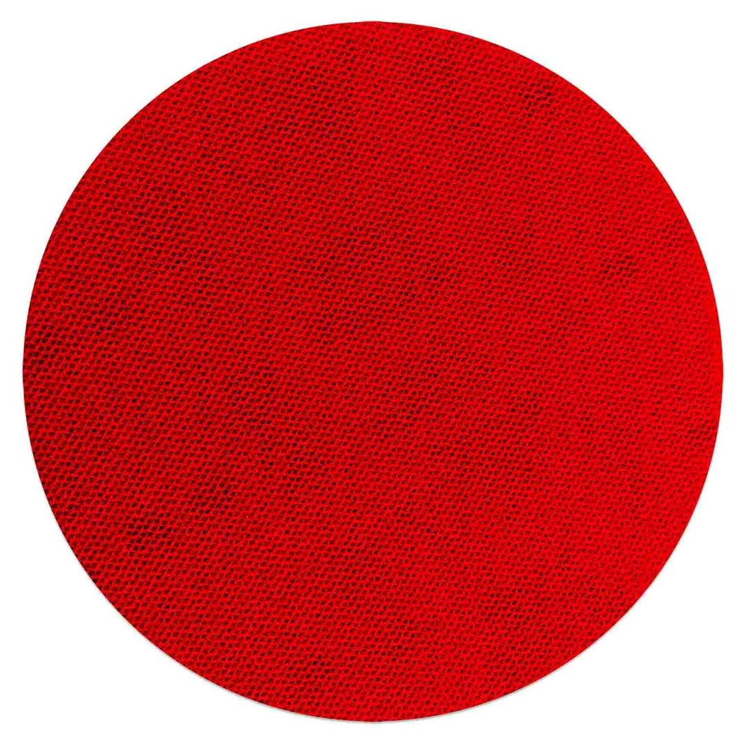 Sand Demon(TM) 5" Reusable Sanding Discs