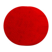 Sand Demon(TM) 5" Reusable Sanding Discs