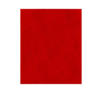 Sand Demon(TM) 9" x 11" Reusable Sanding Sheets