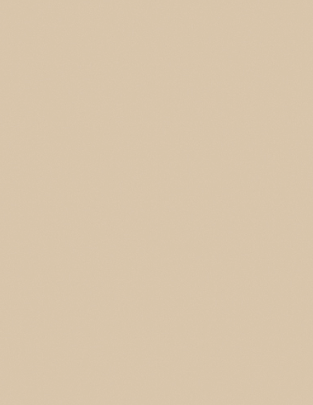 LAM SANDSTONE MT 4X8 1/32 IC