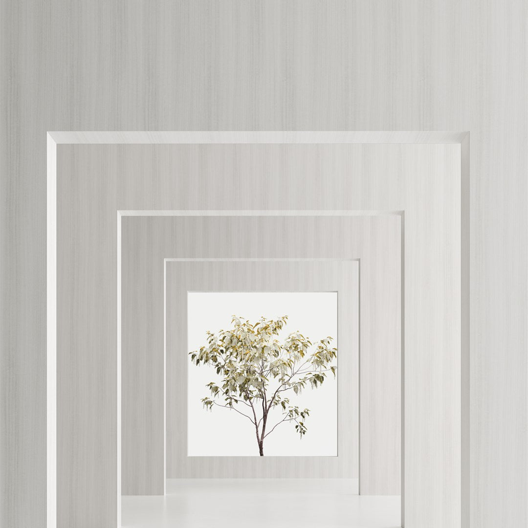 SALT Laguna HPL Laminate Eucalipto White - 7'x10' 0.7mm