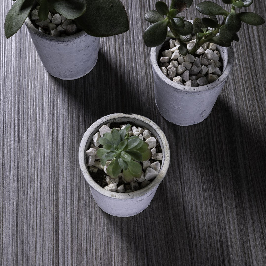 SALT Saviola HPL Laminate Palisandro Grigio - 7'x10' 0.7mm