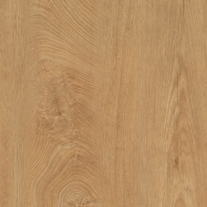 PROFILE RIGHT SIDE ORLANDO  OAK G1