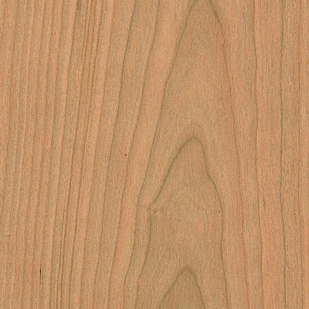 PLYWOOD DOMESTIC MAPLE 1/2 4x8 B2 RC WP