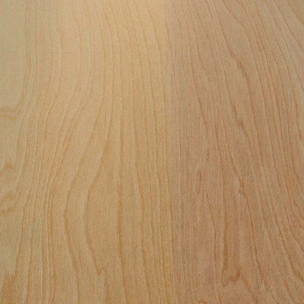 Plywood Sandeply 4 ft x 8 ft