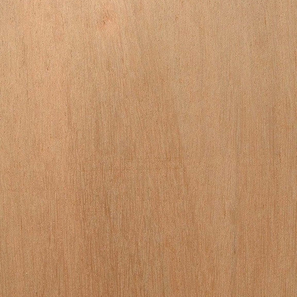PLYWOOD POPLAR 4X8 25MM Made in Italy M4 DERBY BB/BB