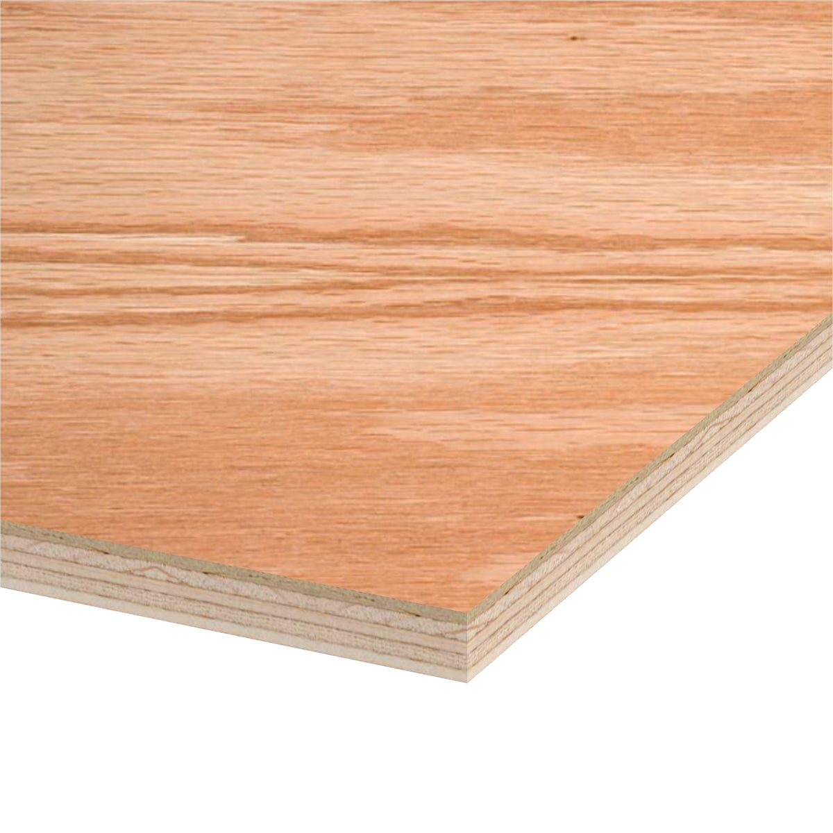 Red Oak Plywood 4 ft x 8 ft (Domestic Plywood)