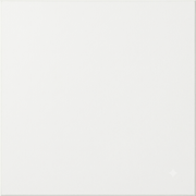 PLYWOOD PREMIUM LAMINATE WHITE 2S 1/2 4X8