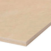 PLYWOOD WHITE BIRCH 1/4 4X10