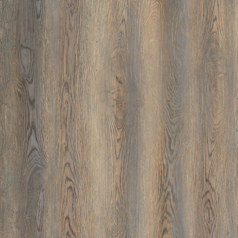 STAIR NOSE GIORGIA LUGANO 8"