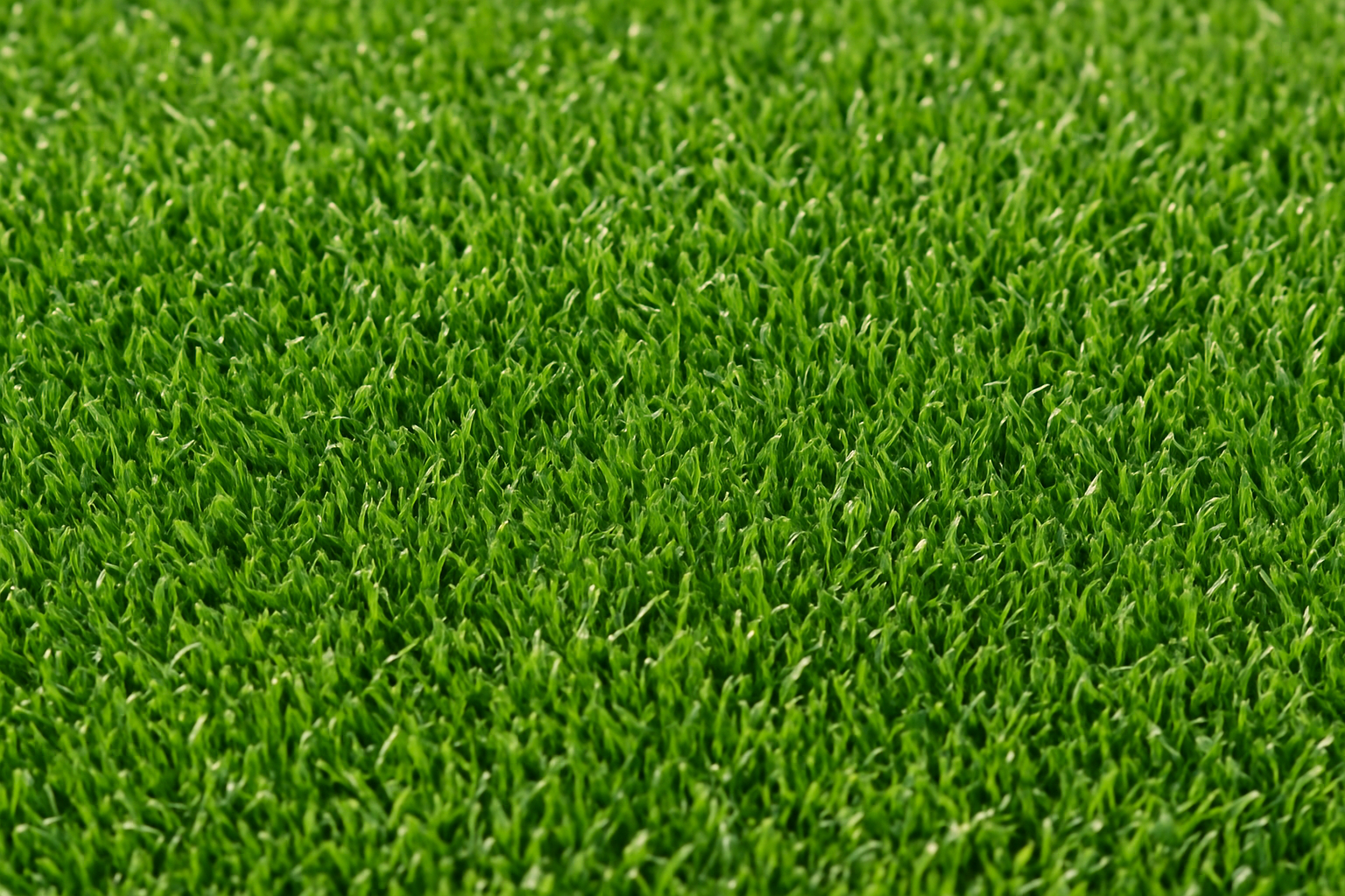 Artificial turf