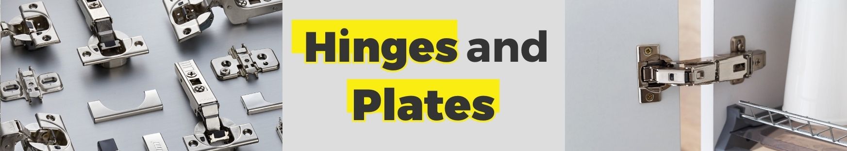 Hinges and Plates