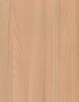 LAM NATURAL BEECH PR PORE 4X8 0.7mm