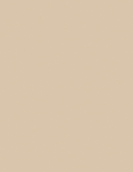 LAM SANDSTONE PR 4X8 1/32 IC