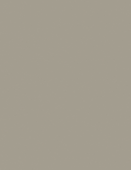 LAM TAUPE PE PELLE 4X8 0.7mm