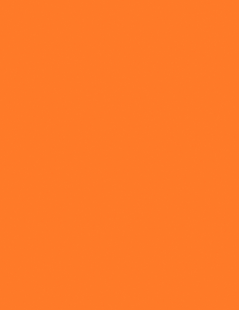 LAM ORANGINE XM 4X8 1/32