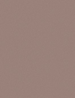 LAM BRUSHED ROSEGOLD BS 4X8 1/32