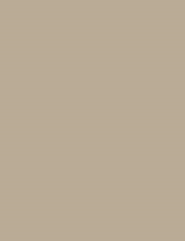 LAM TANTALE CHAMPAGNE MATE 4X8 1/32