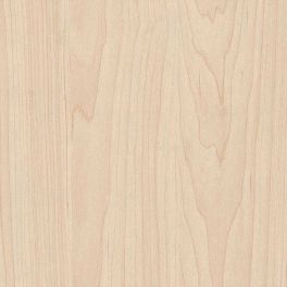 Maple Plywood 4 ft x 8 ft (Imported Plywood)